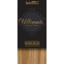 22" Clip In Human Hair Extensions ULTIMATE FULL HEAD #18/613 Blonde/ Bleach Blonde Mix